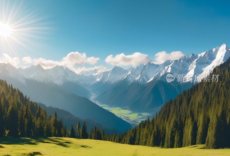 雪山高原草原森林风景