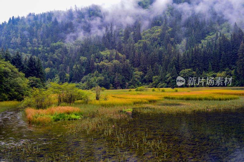 九寨沟的湖泊