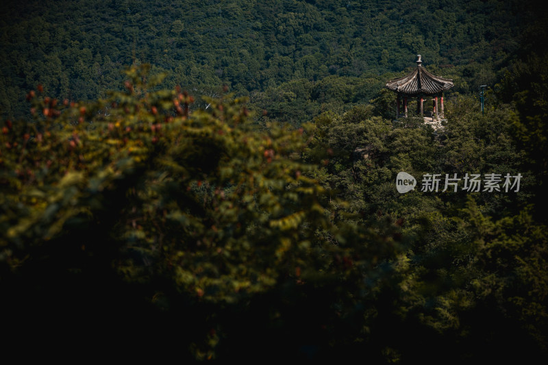 北京香山公园自然风景