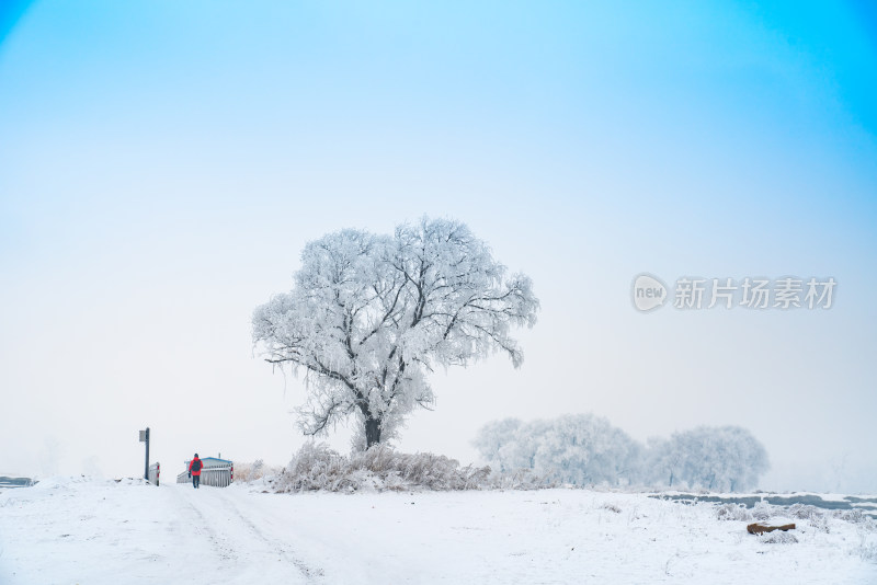 冬季雪景