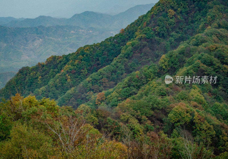 河南洛阳白云山景区秋色