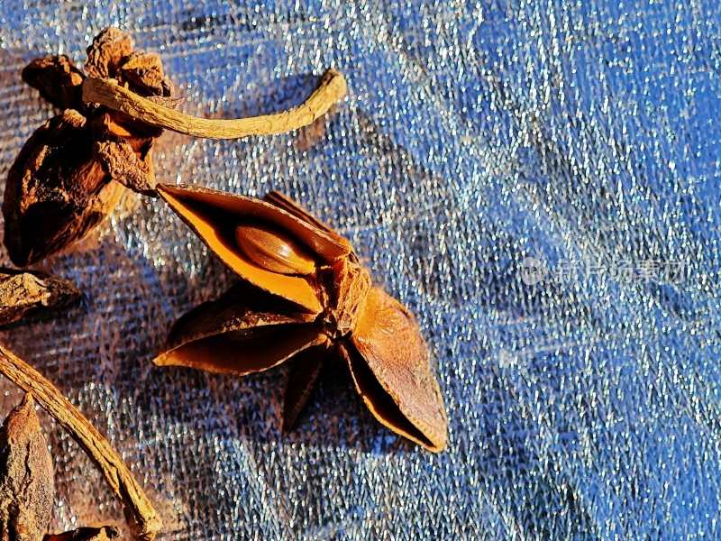 亮色背景下的干枯八角特写