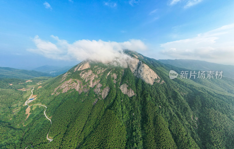 森林山峰