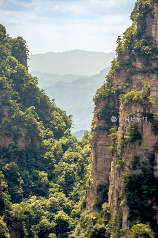 中国湖南张家界景区奇特山峰与茂密森林