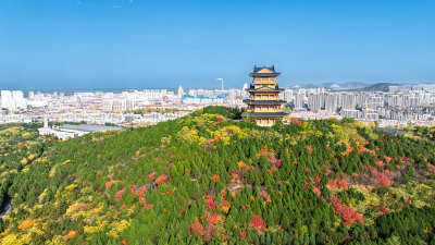 薛城铁道游击队纪念碑 临山阁