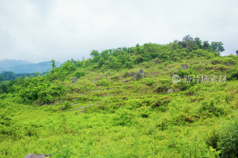 山峰云雾喀斯特风景自然户外