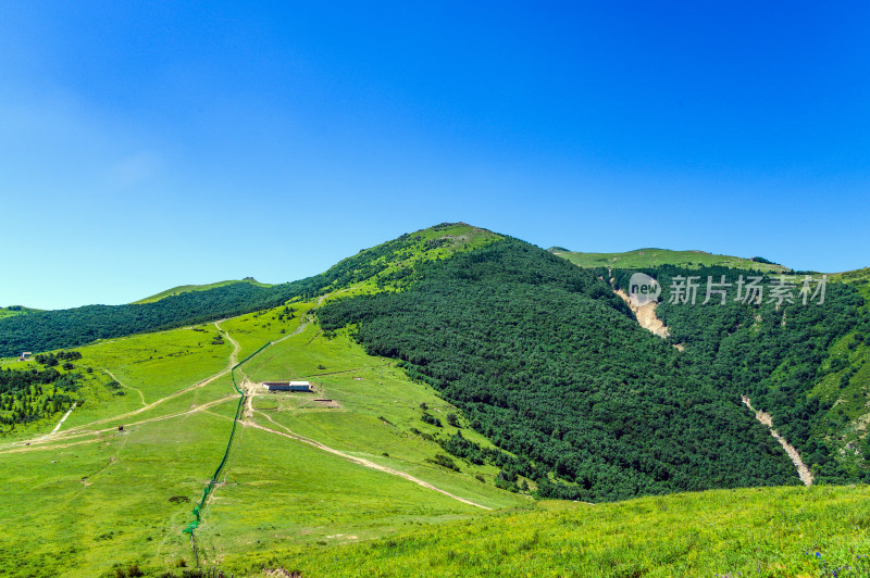 夏季蓝天白云绿色高山草甸群山大气风光