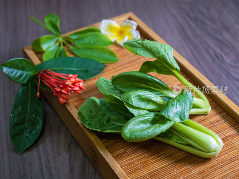 新鲜青菜特写