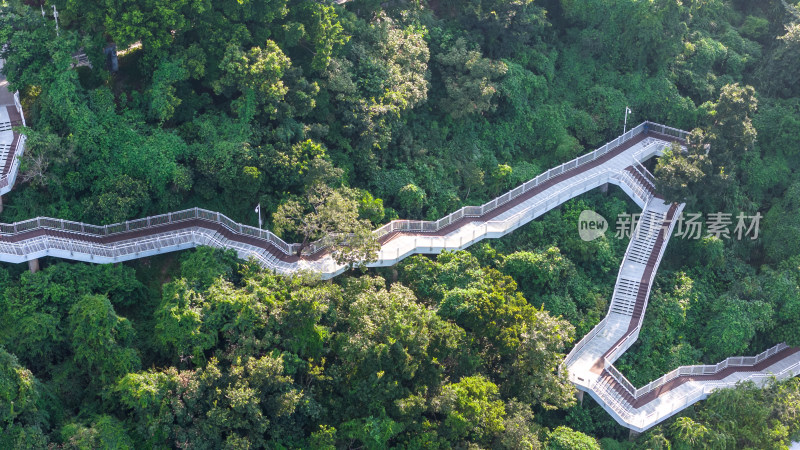 深圳大梅沙滨海栈道