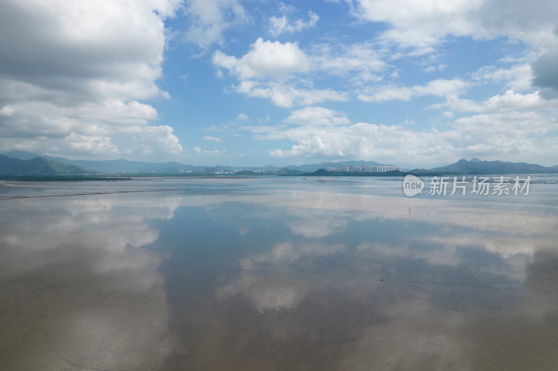 深圳福田红树林保护区