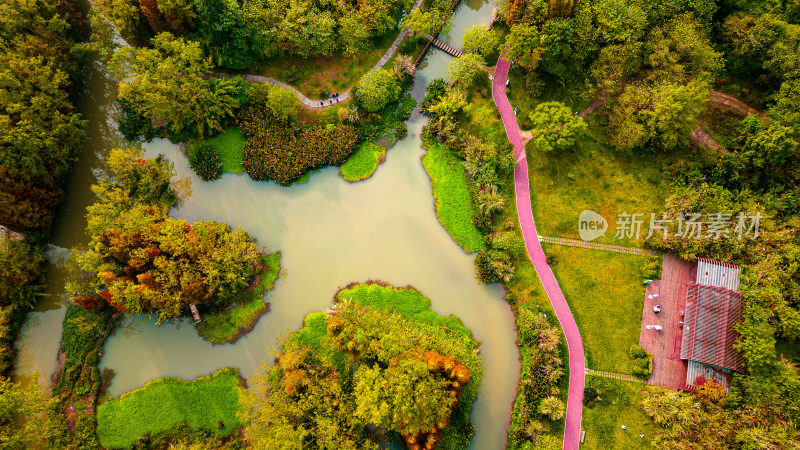 桤木河湿地公园秋景