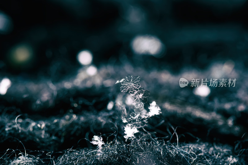 雪花结晶微距特写素材