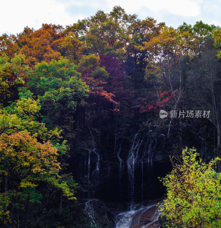 河南洛阳市白云山景区的树林和瀑布