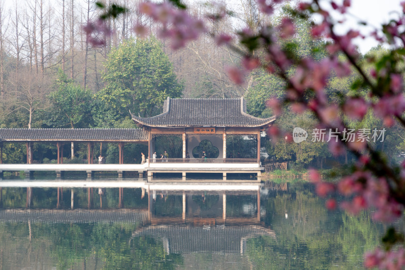 杭州浴鹄湾湖畔古亭与烂漫春花景致