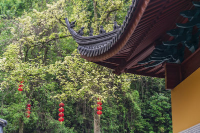 杭州西湖三天竺法镜寺古建筑风景