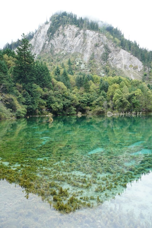 四川阿坝藏族羌族自治州九寨沟景区