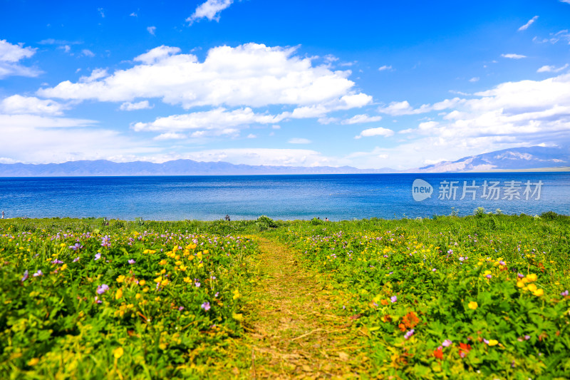 春天治愈鲜花湖泊