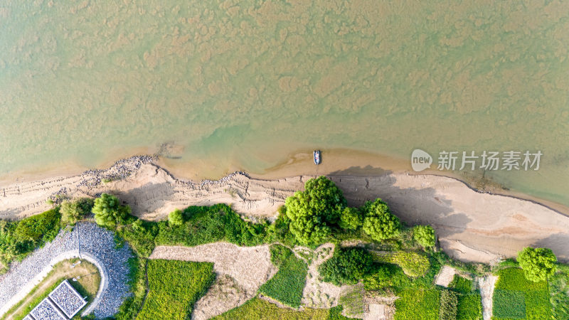 黄河生态湿地环境