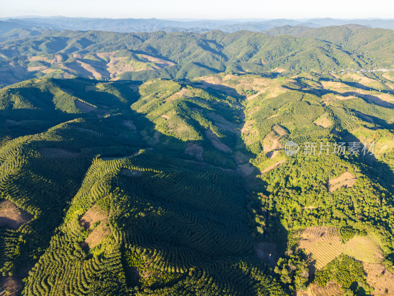 航拍视角下的大片绿色山林山脉全景