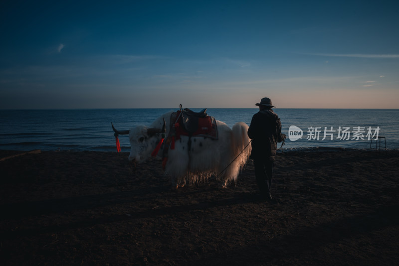 青海省 青海湖景区 夏季日出