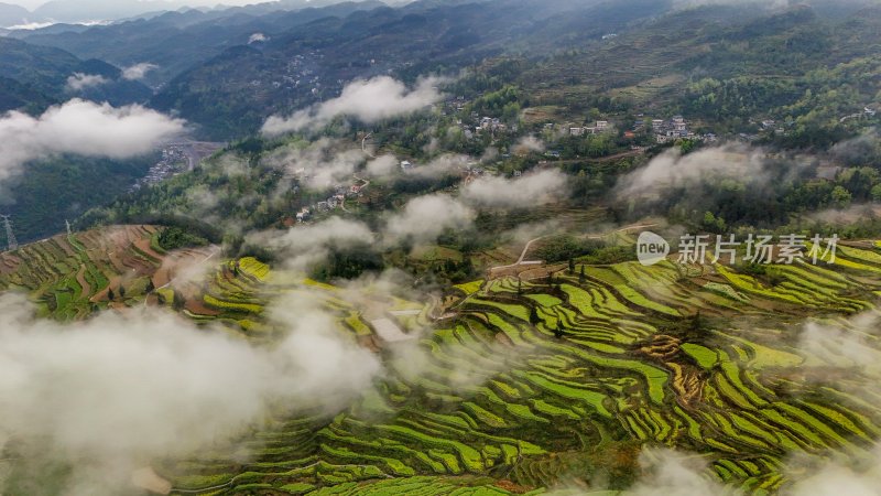 重庆酉阳：青山雾漫别样美