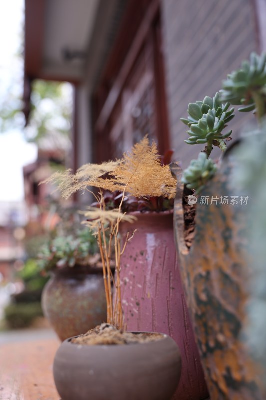 普洱市茶马古镇风景照片