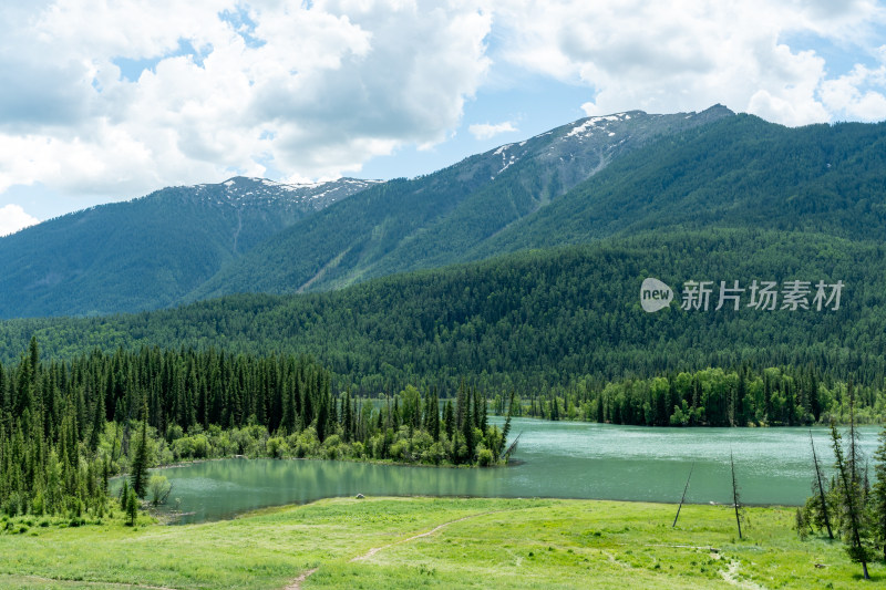 新疆喀纳斯景区风光