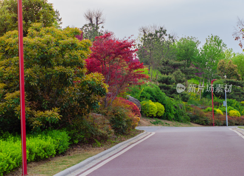 户外公园的跑道