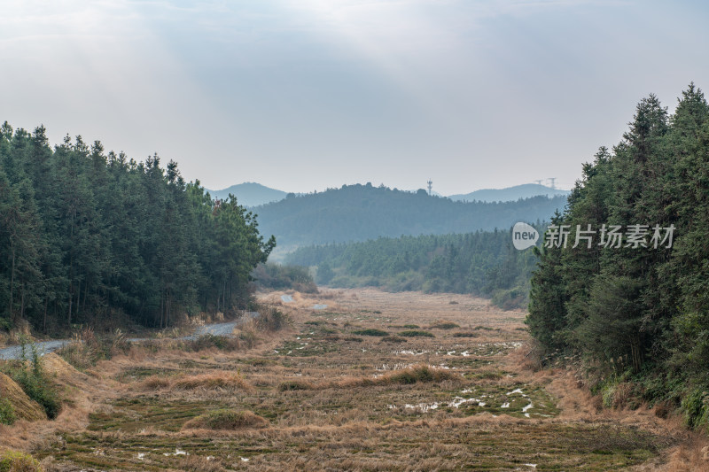 林间空旷地带与远山相映的自然景色