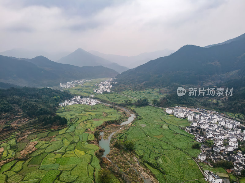 安徽江岭油菜花山谷梯田白墙徽派建筑群航拍