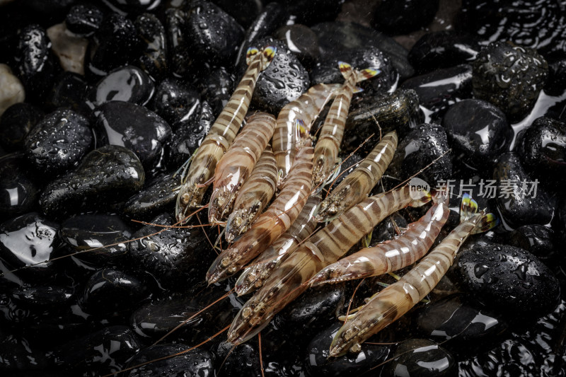 黑色鹅卵石上的鲜活基围虾