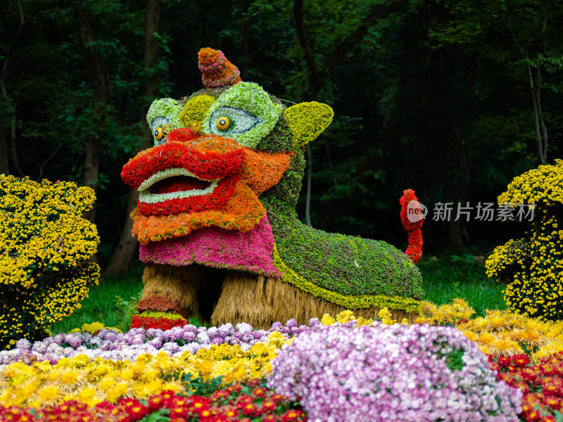 无锡惠山公园金秋菊花展景观园艺作品