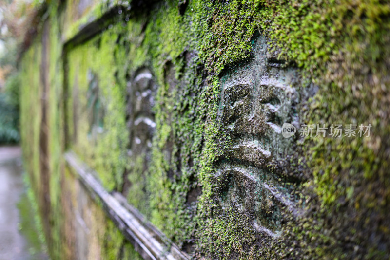 中国杭州永福寺苔藓纹理