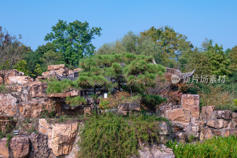 晴朗的午后，扬州瘦西湖江南园林风景