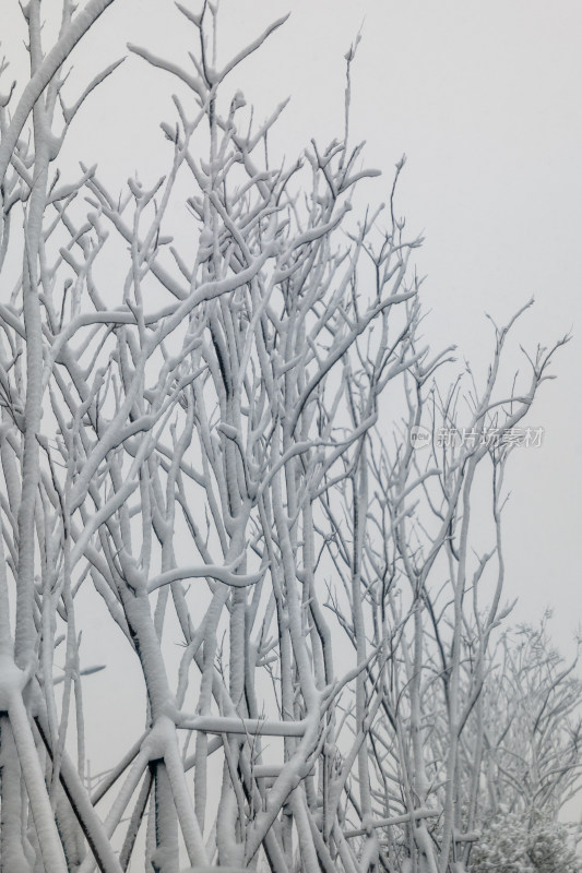 长沙雪景