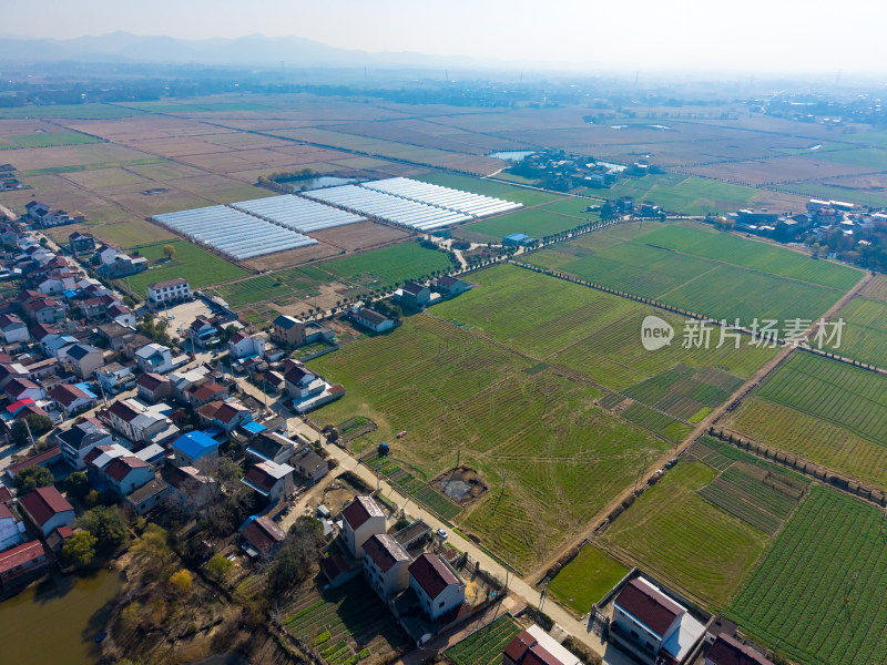 美丽乡村田园