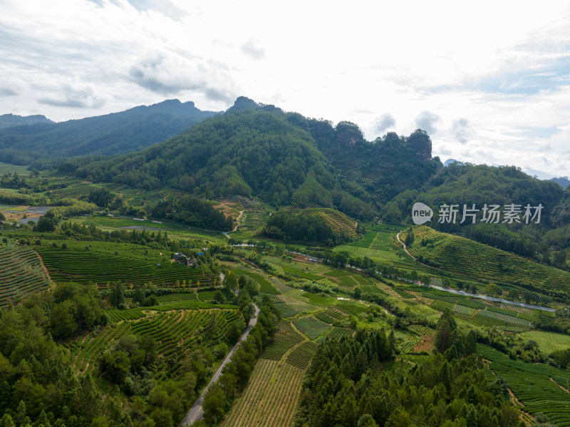 航拍武夷山绿色农田与茶园