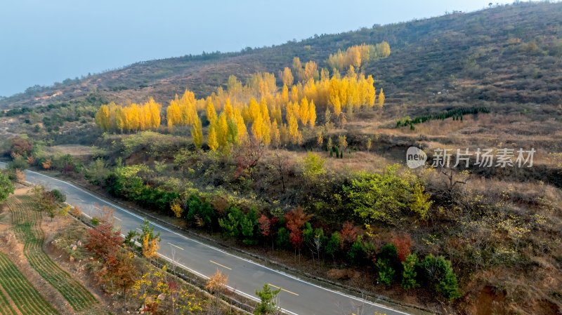 秋天乡村自然风景公路交通