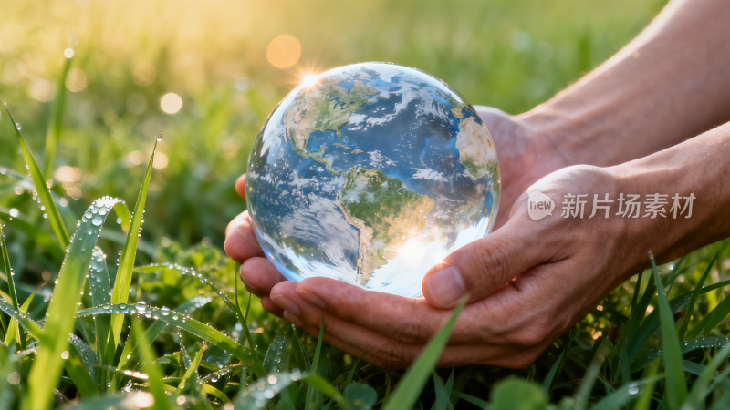 双手捧地球于绿色草地