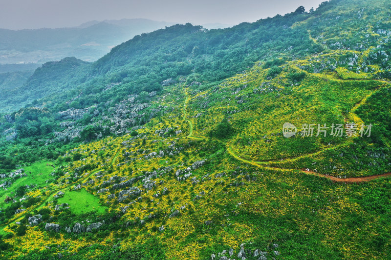 景德镇的高山花园