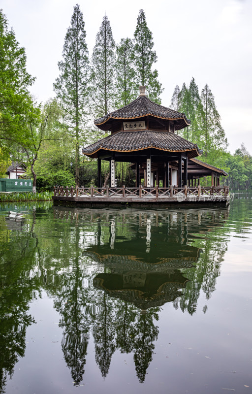 杭州西湖茅家埠黛色参天自然风景景观