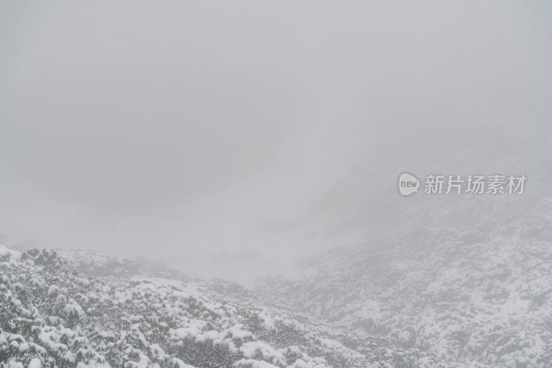 云南大理苍山洗马潭雪景