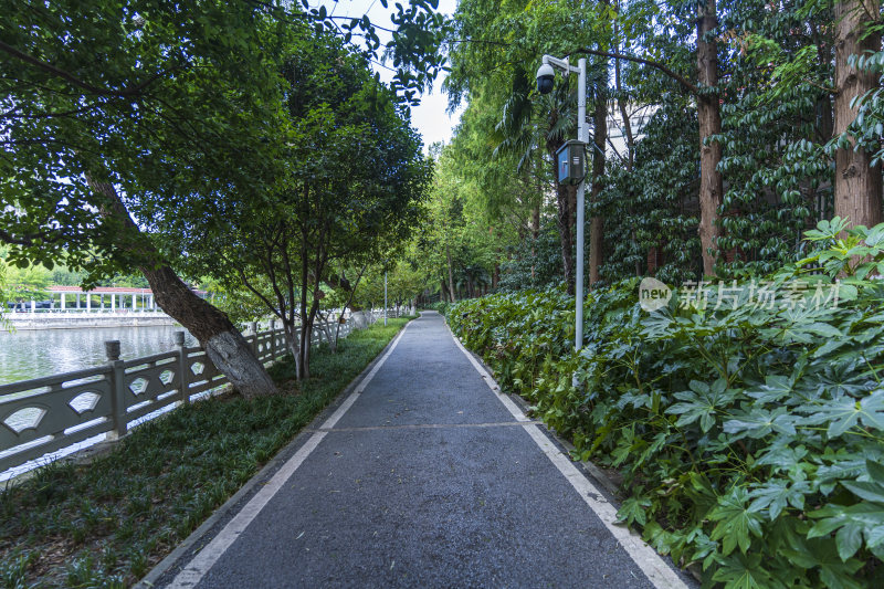 武汉江岸区小南湖公园风景