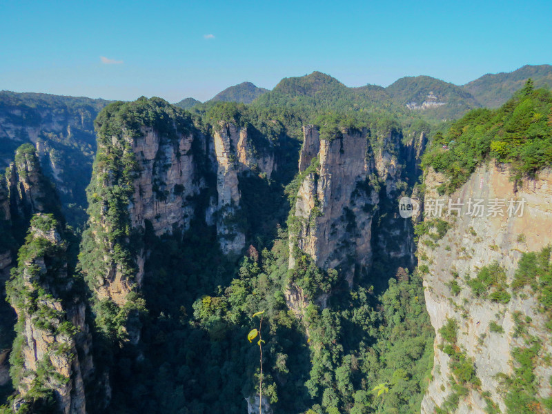 中国湖南张家界国家森林公园旅游风光