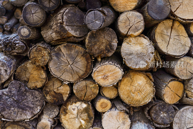 多个树木横截面