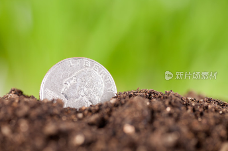 种植在肥沃土壤中的25美分硬币