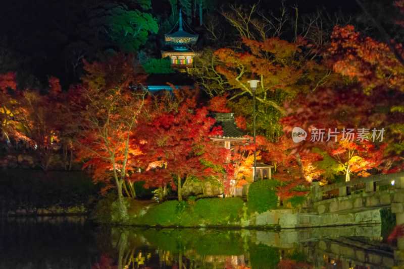 夜晚灯光下的多彩秋叶景观