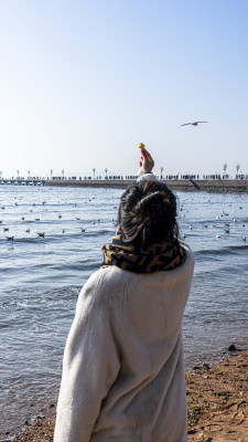 海边喂海鸥的美女背影实拍图