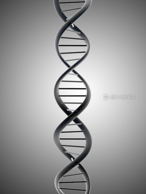 DNA链基因