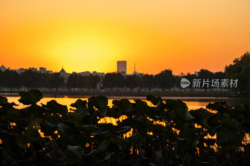 杭州西湖日出金光水岸湖畔剪影